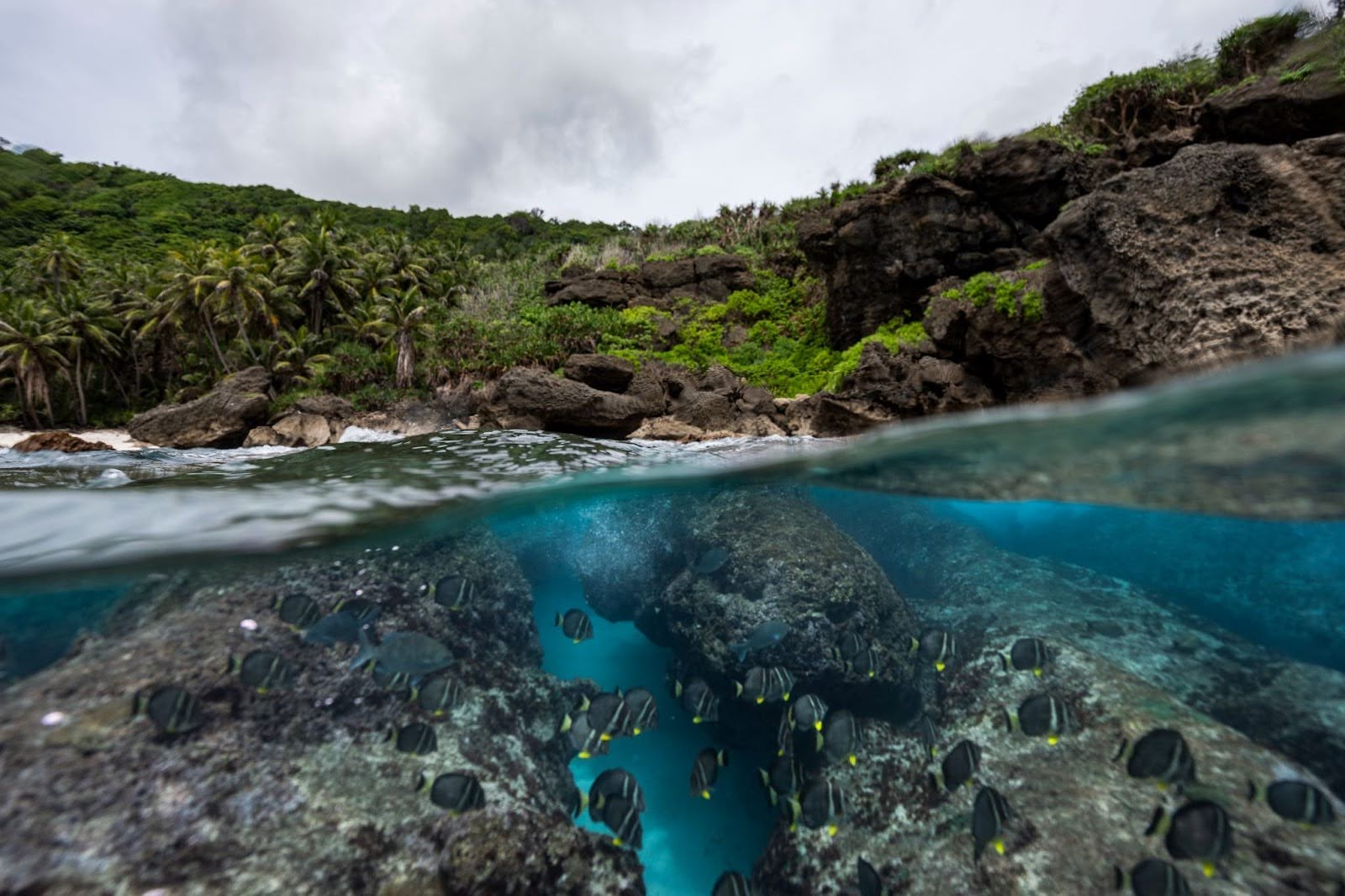 Christmas Island’s land and sea are interconnected. Photo Credit: Adam Moore